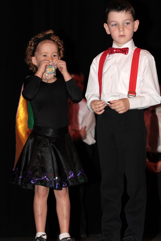 aidastpatricks2008_496.jpg (large)