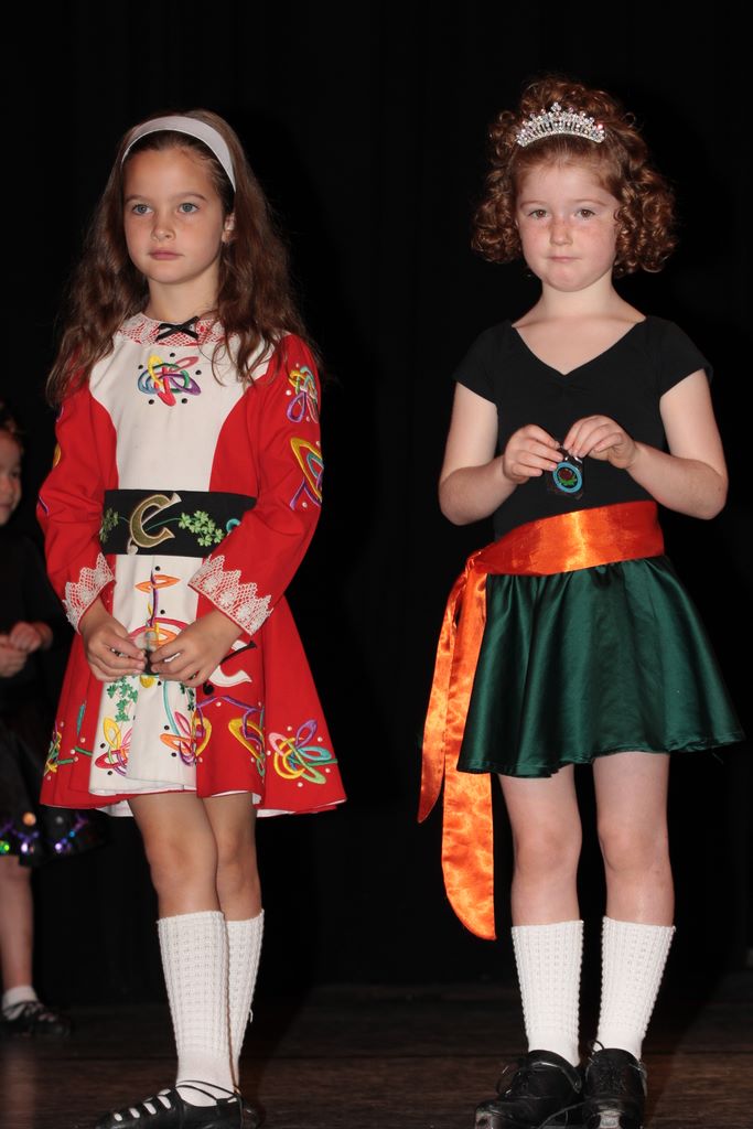 aidastpatricks2008_516.jpg (large)