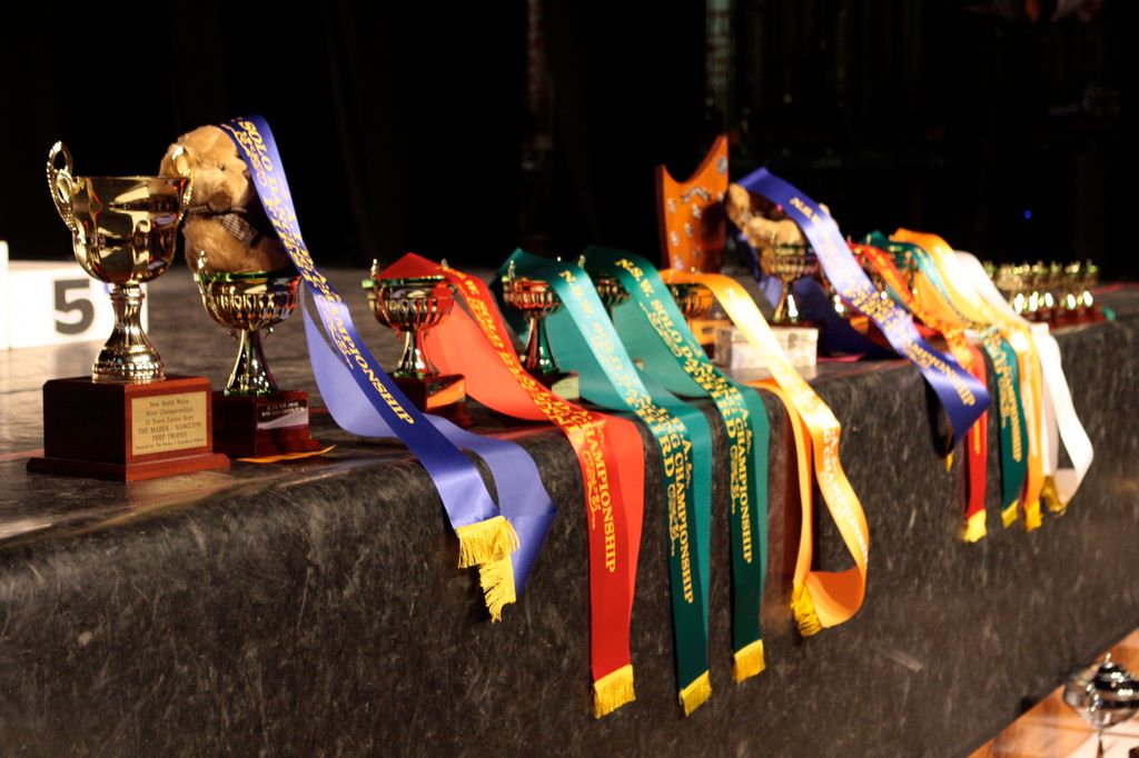 nswstatechampionships2009_343.jpg (large)