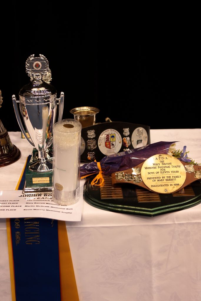 nationals2009_0316.jpg (large)